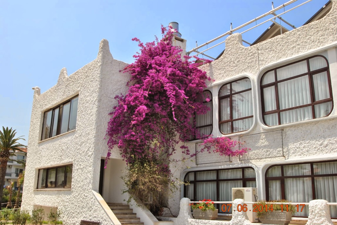 imagini hotel ATLANTIQUE KUSADASI